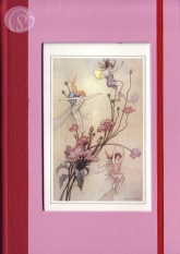 Notizbuch Fairies & Flowers