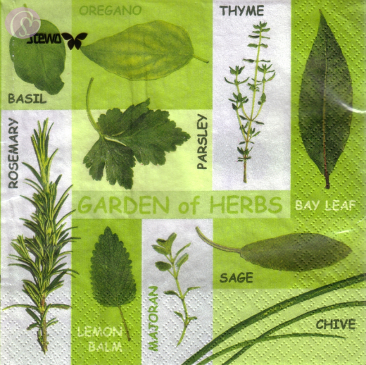 Lunchservietten Garden of Herbs