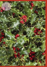 Klappkarte Holly