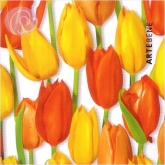 Geschenkkarte Tulpen (5 Stück)