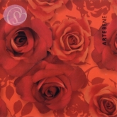 Geschenkkarte Rosenblüten, dunkelrot (5 Stück)