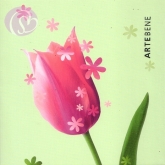 Geschenkkarte Tulpe, pink (5 Stück)