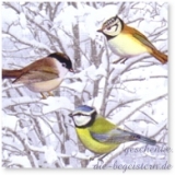 Lunchservietten Vögel im Schnee